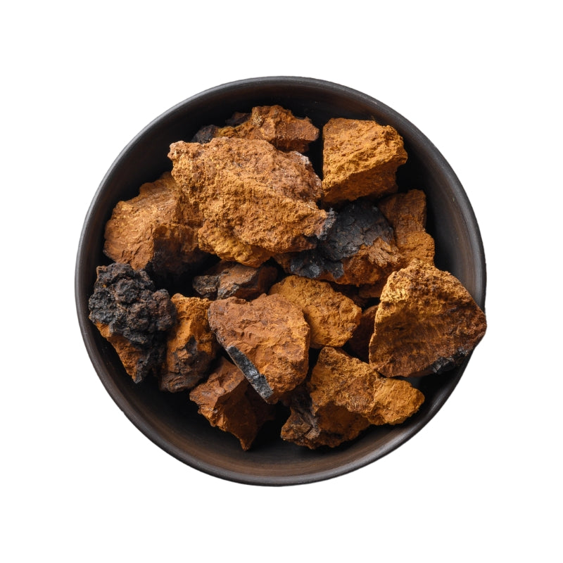 Chaga RAW - Psoriasishjälpen